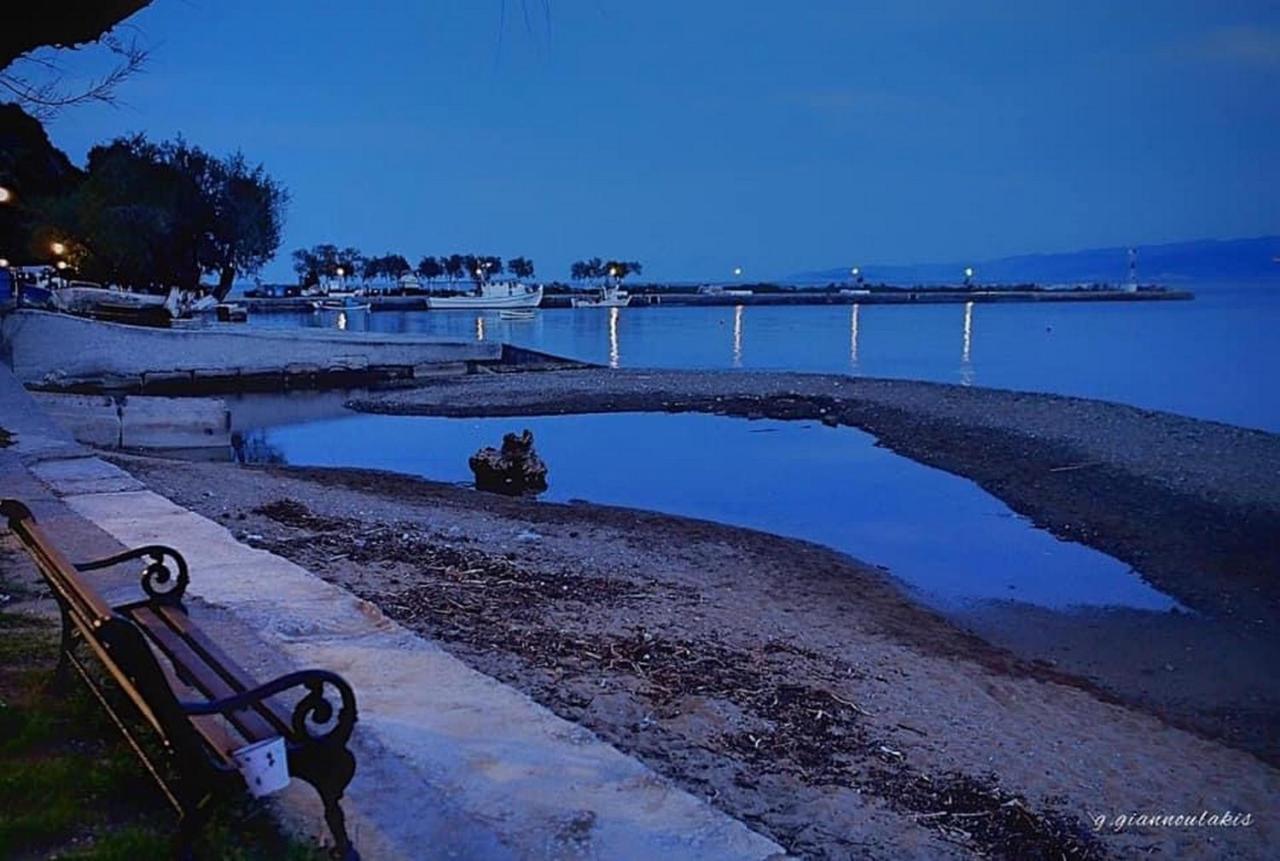 Apartment Harmony Seaside Pelion *