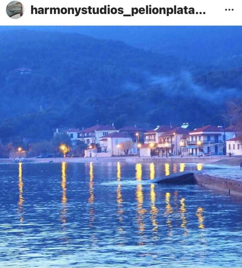 Harmony Seaside Pelion Apartment *