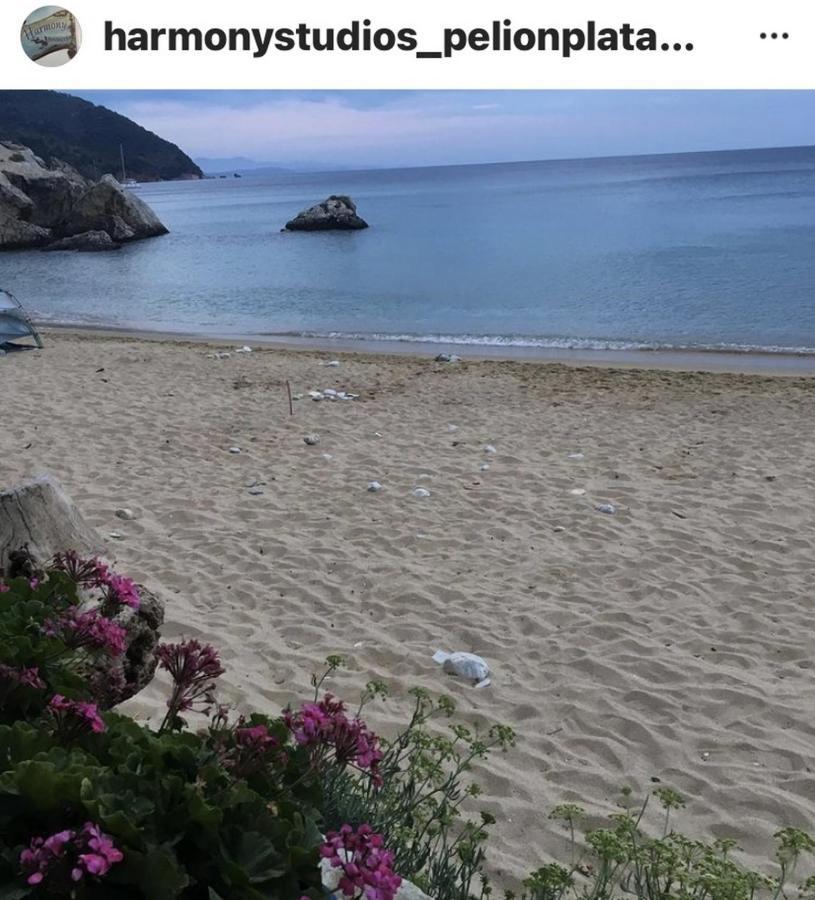 Harmony Seaside Pelion Apartment *